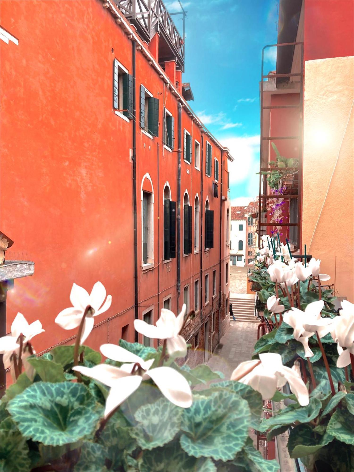 Hinc Domus - Venezia Historical City Center Exteriör bild